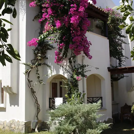 Apart-hotel Summer Garden