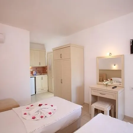 公寓式酒店 Summer Garden 3*