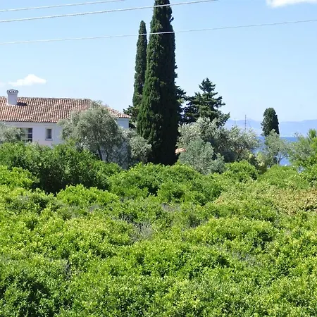 Aparthotel Summer Garden 3*