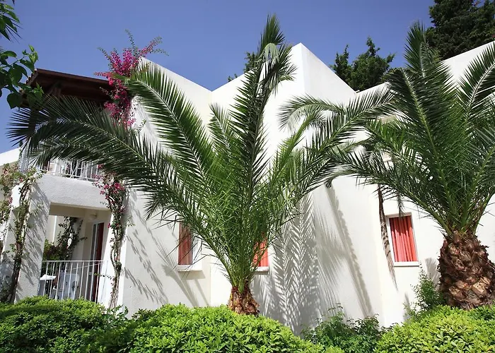 Aparthotel Summer Garden